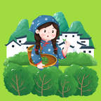 茶园拾光