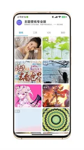 主题壁纸专业版