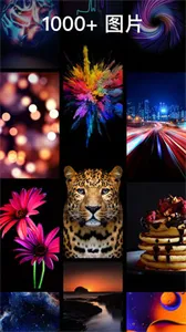 主题壁纸专业版