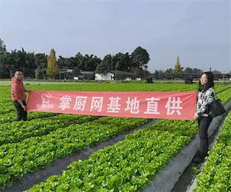 掌厨商家免费版