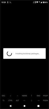 终端仿真应用程序