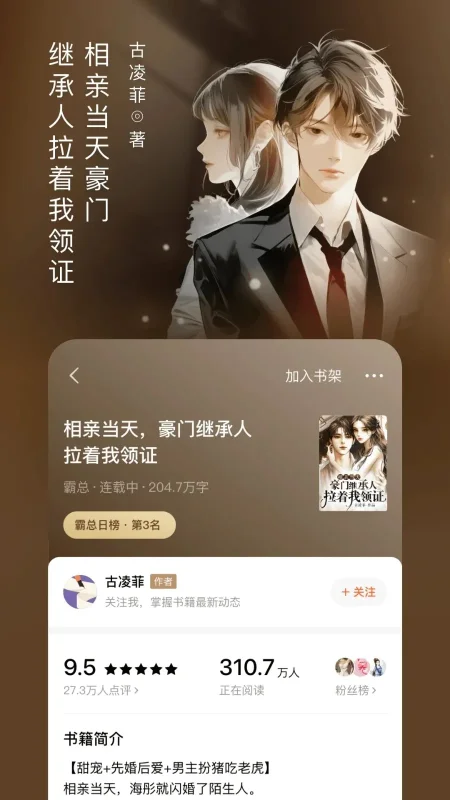 番茄免费小说清爽版