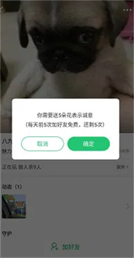 会玩交友