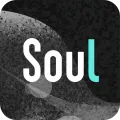 soul正版
